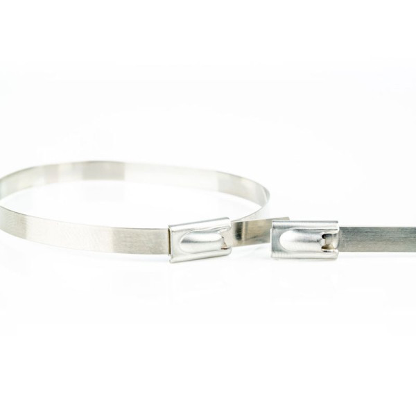 Kabelbinders - 1220 x 4,6mm - Trekkracht tot 160kg - 100 stuks - AISI 304 - Ongecoat - RVS