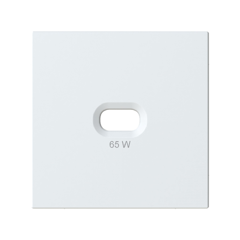 OPUS 55 Mat polarwit afdekplaat voor USB C wandcontactdoos 65W