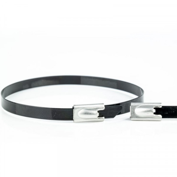 Kabelbinders - 200 x 4,6mm - Trekkracht tot 90kg - 100 stuks - AISI 316L - Gecoat - RVS - Zwart