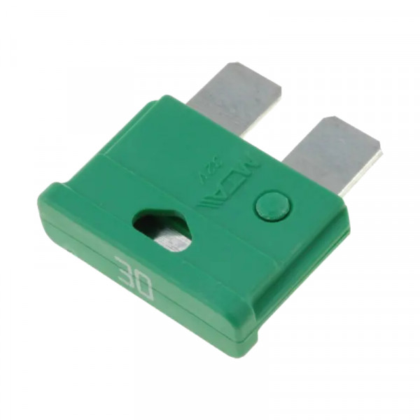 Autozekering - 30 Ampere - Groen - 10 stuks