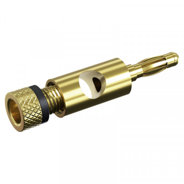 Bananaplug met schroefbevestiging - Basic - Verguld - Goud - Zwart accent