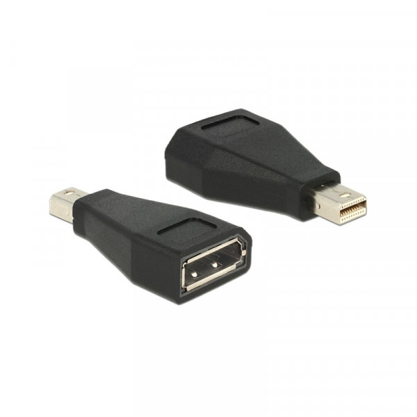 Mini DisplayPort - DisplayPort Adapter Zwart