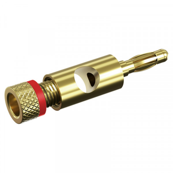 Bananaplug met schroefbevestiging - Basic - Verguld - Goud - Rood accent