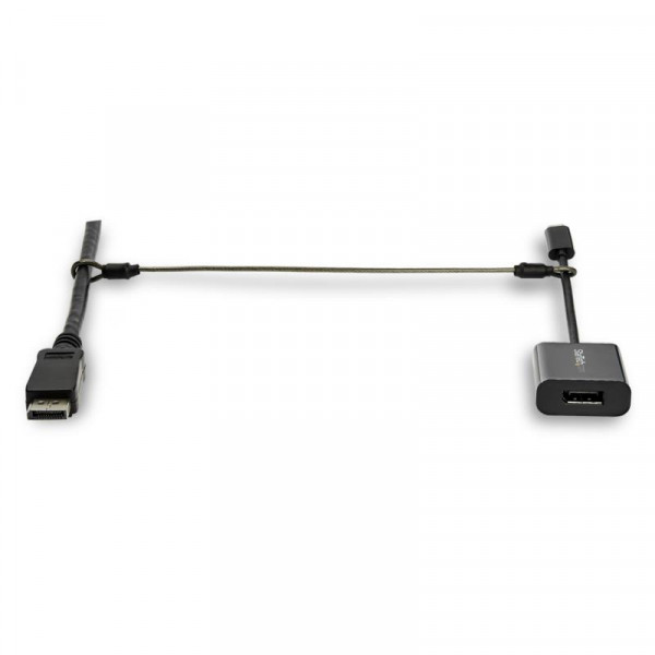 StarTech Anti-diefstal kabel met lus - 10 stuks - staal