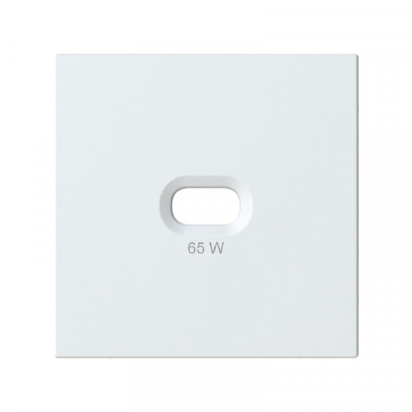 OPUS 55 Mat polarwit afdekplaat voor USB C wandcontactdoos 65W