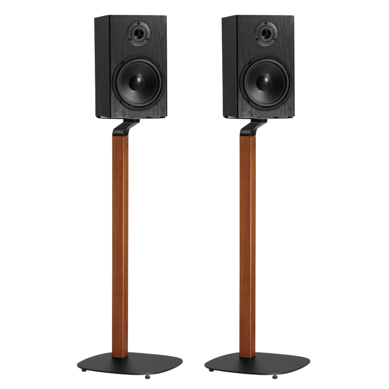 Luxe Speaker Vloerstandaard 2 stuks