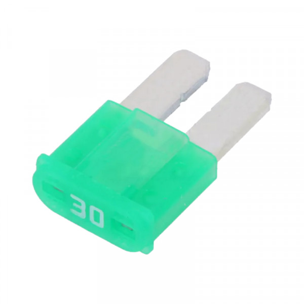 Micro2 Autozekering - 30 Ampere - Groen - 10 stuks