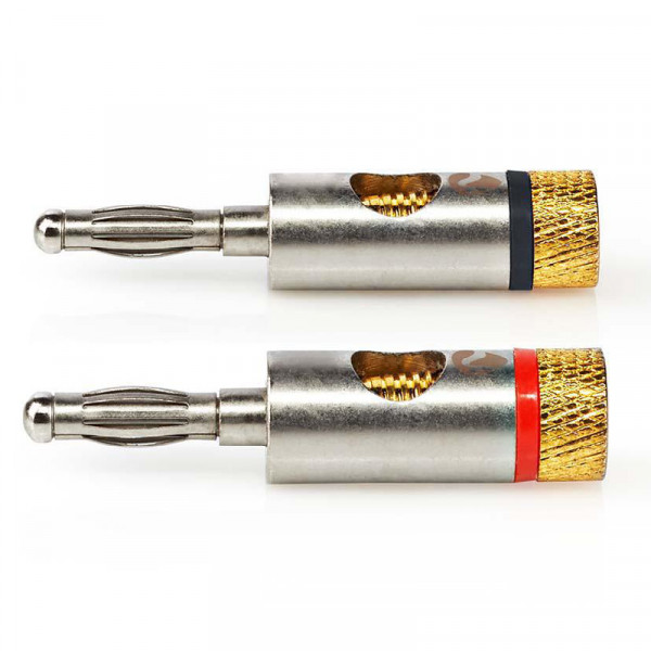 Banana Plug - 2 Stuks - Verguld - Schroefbaar - Premium - Zilver