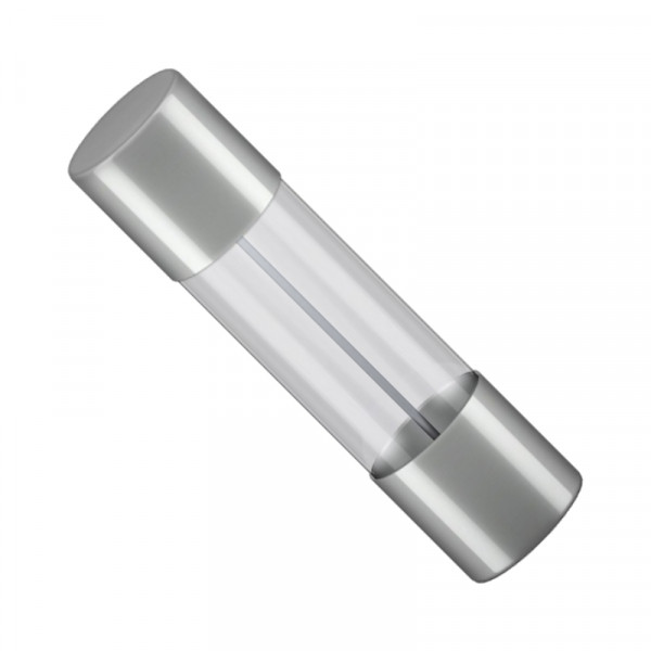 Glaszekering - 800 Milliampere - 5 x 20mm - Snel - 10 stuks