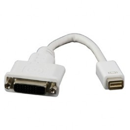 Mini DVI - DVI Adapter